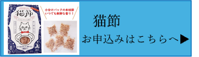 猫節